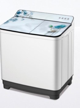 12kg Twin Tub Semi-Automatic Washing Machine (XPB120-100S-G)